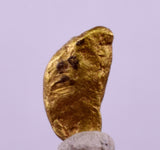 0.8cms UNIQUE NUGGET NATIVE GOLD U.S.A THUMBNAIL CRYSTAL MINERAL LB220