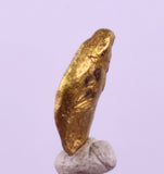 0.8cms UNIQUE NUGGET NATIVE GOLD U.S.A THUMBNAIL CRYSTAL MINERAL LB220