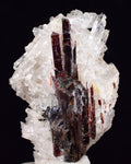 4.4cms RED HUBNERITE QUARTZ CRYSTALS MINERAL SPECIMEN COLLECTOR PERU MB156