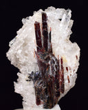 4.4cms RED HUBNERITE QUARTZ CRYSTALS MINERAL SPECIMEN COLLECTOR PERU MB156