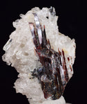 4.4cms RED HUBNERITE QUARTZ CRYSTALS MINERAL SPECIMEN COLLECTOR PERU MB156