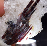 4.4cms RED HUBNERITE QUARTZ CRYSTALS MINERAL SPECIMEN COLLECTOR PERU MB156