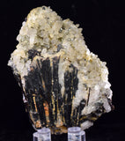 7.8cms RED HUBNERITE QUARTZ PYRITE CRYSTALS MINERAL SPECIMEN COLLECTOR PERU MB157
