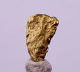 0.6cms UNIQUE NUGGET NATIVE GOLD U.S.A THUMBNAIL CRYSTAL MINERAL LB223
