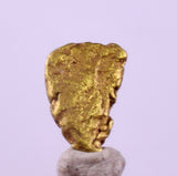 0.6cms UNIQUE NUGGET NATIVE GOLD U.S.A THUMBNAIL CRYSTAL MINERAL LB223