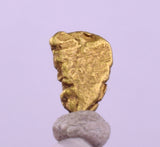 0.6cms UNIQUE NUGGET NATIVE GOLD U.S.A THUMBNAIL CRYSTAL MINERAL LB223