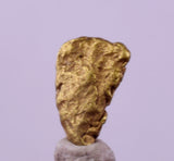 0.6cms UNIQUE NUGGET NATIVE GOLD U.S.A THUMBNAIL CRYSTAL MINERAL LB223