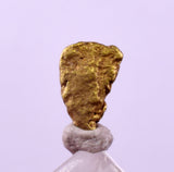 0.6cms UNIQUE NUGGET NATIVE GOLD U.S.A THUMBNAIL CRYSTAL MINERAL LB223