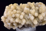 5.3cms CALCITE DRUZY CRYSTALS FLOATER PERU SHINY MINERAL SPECIMEN GB74