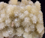 5.3cms CALCITE DRUZY CRYSTALS FLOATER PERU SHINY MINERAL SPECIMEN GB74