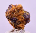 1.3cms GEM WULFENITE FLUORITE MIMETITE CRYSTALS ALAMO ARIZONA USA MINERAL YB70