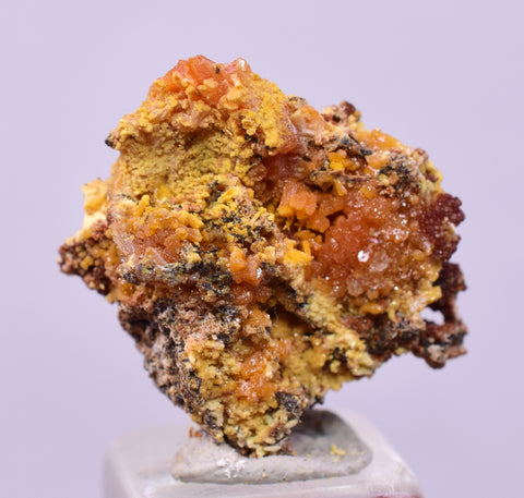 1.6cms GEM WULFENITE MIMETITE CRYSTALS ALAMO ARIZONA USA MINERAL YB72
