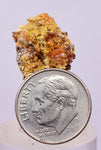 1.6cms GEM WULFENITE MIMETITE CRYSTALS ALAMO ARIZONA USA MINERAL YB72