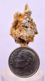 2.7cms GEM WULFENITE MIMETITE CRYSTALS ALAMO ARIZONA USA MINERAL YB75