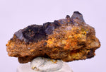 2.1cms GEM WULFENITE FLUORITE MIMETITE CRYSTALS ALAMO ARIZONA USA MINERAL YB77