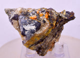 4.7cms GEM WULFENITE FLUORITE MIMETITE CRYSTALS ALAMO ARIZONA USA MINERAL YB78
