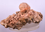 12.4cms NATURAL SCULPTURE ROSE QUARTZ DRUZY BRIGHT CRYSTALS BOTRYOIDAL PERU NEW FIND QB120