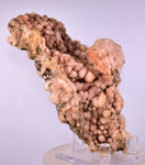 12.4cms NATURAL SCULPTURE ROSE QUARTZ DRUZY BRIGHT CRYSTALS BOTRYOIDAL PERU NEW FIND QB120