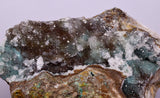 9.5cms DRUZY CHRYSOCOLLA QUARTZ CRYSTAL LILY MINE PERU 2000 YEAR DB290