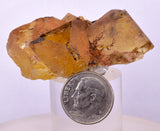 5.2cms GEM YELLOW FLUORITE SHINY CRYSTAL AHOULI MOROCCO MINERAL SPECIMEN KB71