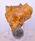 5.2cms GEM YELLOW FLUORITE SHINY CRYSTAL AHOULI MOROCCO MINERAL SPECIMEN KB72