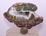 10cms DRUZY CHRYSOCOLLA QUARTZ CRYSTAL LILY MINE PERU 2000 YEAR DB291