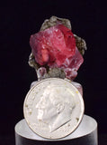 2.1cm RHODOCHROSITE CRYSTALS PERU OLD STOCK UCHUCCHACUA MINERAL SPECIMEN RB731