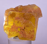 4.9cms GEM YELLOW FLUORITE SHINY CRYSTAL AHOULI MOROCCO MINERAL SPECIMEN KB74