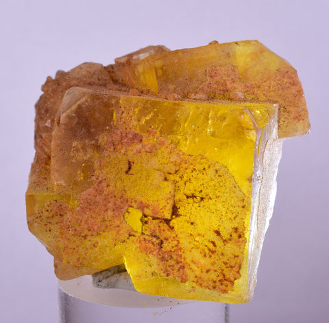 4.9cms GEM YELLOW FLUORITE SHINY CRYSTAL AHOULI MOROCCO MINERAL SPECIMEN KB74