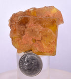 4.9cms GEM YELLOW FLUORITE SHINY CRYSTAL AHOULI MOROCCO MINERAL SPECIMEN KB74