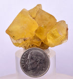 3.7cms GEM YELLOW FLUORITE SHINY CRYSTAL AHOULI MOROCCO MINERAL SPECIMEN KB75