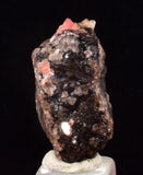 2.4cm RHODOCHROSITE CRYSTALS PERU OLD STOCK UCHUCCHACUA MINERAL SPECIMEN RB732
