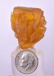 3.3cms GEM YELLOW FLUORITE SHINY CRYSTAL AHOULI MOROCCO MINERAL SPECIMEN KB76