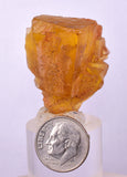 3.3cms GEM YELLOW FLUORITE SHINY CRYSTAL AHOULI MOROCCO MINERAL SPECIMEN KB76