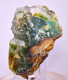 7cms DRUZY CHRYSOCOLLA QUARTZ CRYSTAL LILY MINE PERU 2000 YEAR DB294