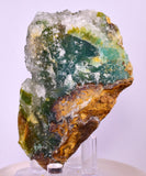 7cms DRUZY CHRYSOCOLLA QUARTZ CRYSTAL LILY MINE PERU 2000 YEAR DB294