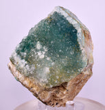 7.6cms DRUZY CHRYSOCOLLA QUARTZ CRYSTAL LILY MINE PERU 2000 YEAR DB295