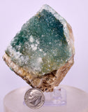 7.6cms DRUZY CHRYSOCOLLA QUARTZ CRYSTAL LILY MINE PERU 2000 YEAR DB295