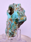6cms DRUZY CHRYSOCOLLA QUARTZ CRYSTAL LILY MINE PERU 2000 YEAR DB296