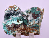 6.5cms DRUZY CHRYSOCOLLA QUARTZ CRYSTAL LILY MINE PERU 2000 YEAR DB297