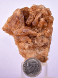 5.6cms CITRINE CRYSTALS MOROCCO MINERAL SPECIMEN AB259