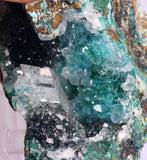6.5cms DRUZY CHRYSOCOLLA QUARTZ CRYSTAL LILY MINE PERU 2000 YEAR DB297