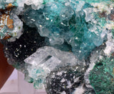 6.5cms DRUZY CHRYSOCOLLA QUARTZ CRYSTAL LILY MINE PERU 2000 YEAR DB297