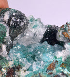 6.5cms DRUZY CHRYSOCOLLA QUARTZ CRYSTAL LILY MINE PERU 2000 YEAR DB297