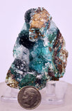 6.5cms DRUZY CHRYSOCOLLA QUARTZ CRYSTAL LILY MINE PERU 2000 YEAR DB297