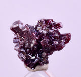 1cms PROUSTITE RED RUBY SILVER PERU UCHUCCHACUA MINE MINERAL SPECIMEN HB351