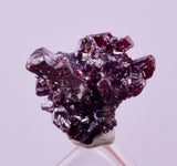 1cms PROUSTITE RED RUBY SILVER PERU UCHUCCHACUA MINE MINERAL SPECIMEN HB351