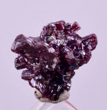 1cms PROUSTITE RED RUBY SILVER PERU UCHUCCHACUA MINE MINERAL SPECIMEN HB351