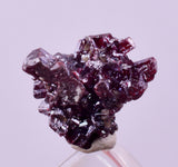 1cms PROUSTITE RED RUBY SILVER PERU UCHUCCHACUA MINE MINERAL SPECIMEN HB351