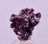1cms PROUSTITE RED RUBY SILVER PERU UCHUCCHACUA MINE MINERAL SPECIMEN HB351